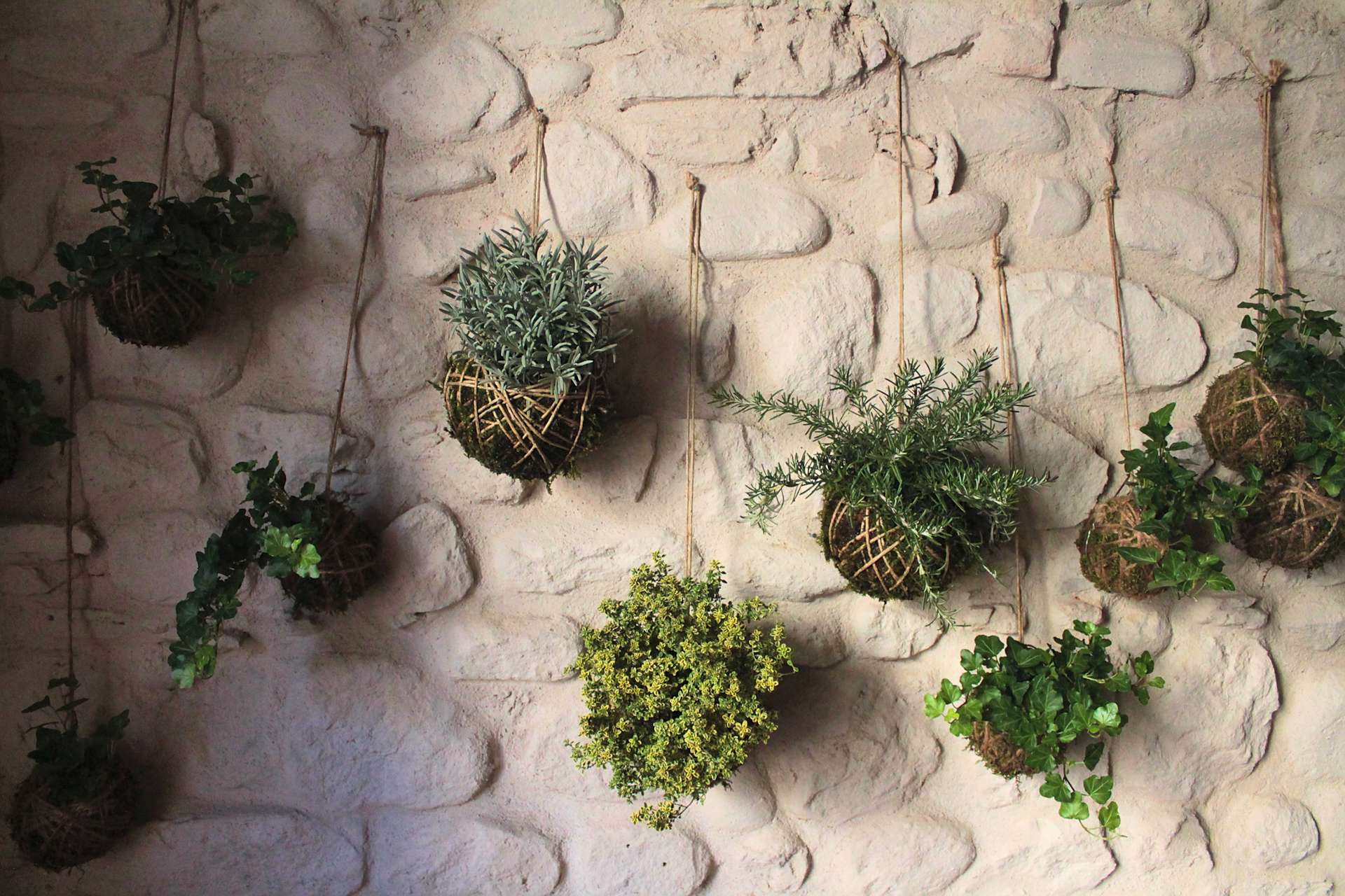 Il Giardino di Vetro