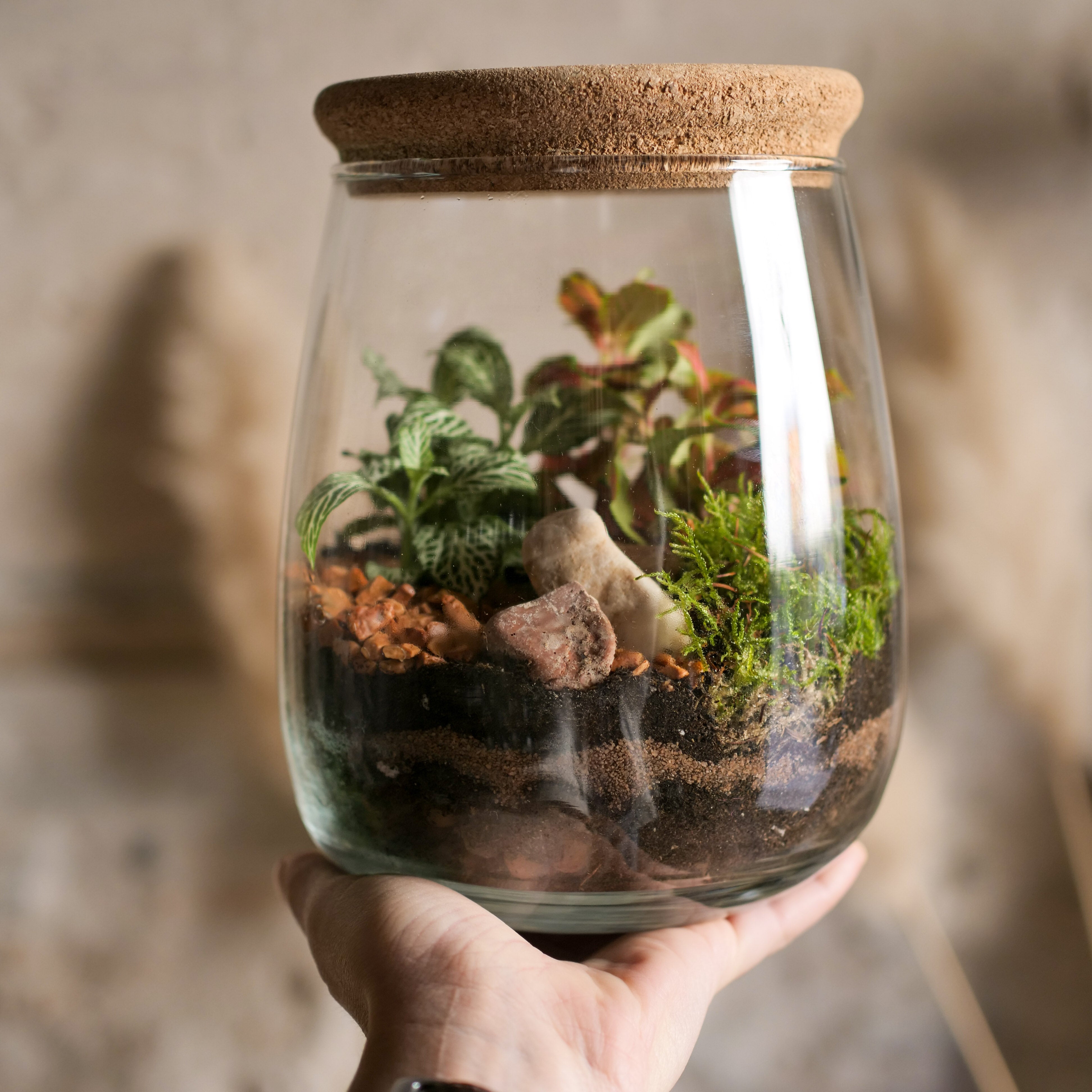 Il Giardino di Vetro