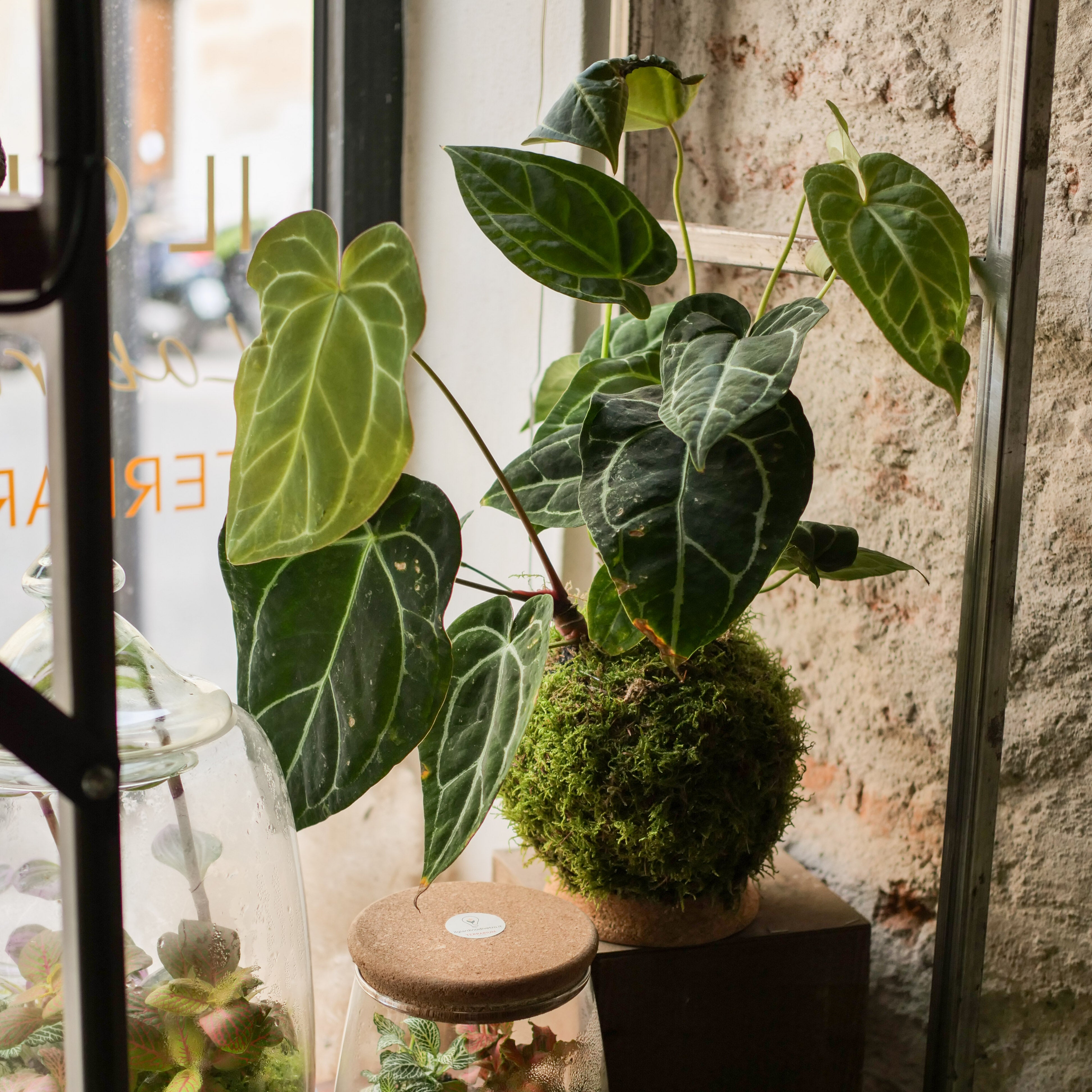 Il Giardino di Vetro