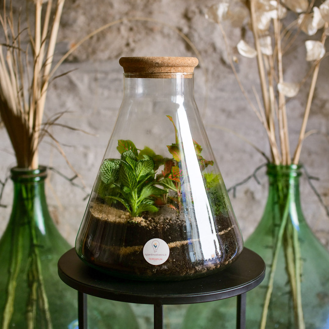 Il Giardino di Vetro