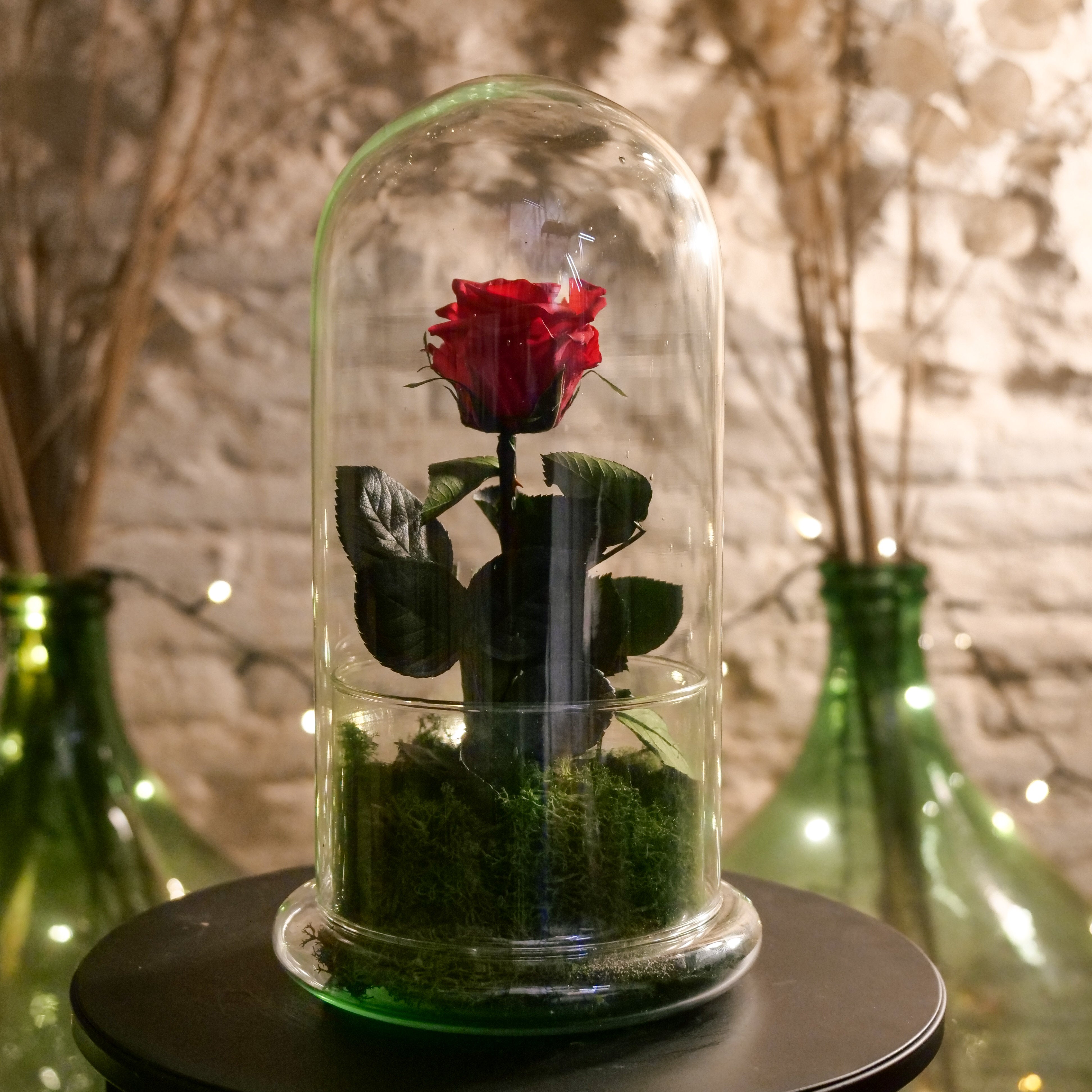 Il Giardino di Vetro