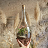 Terrarium Fiasco 2 litri