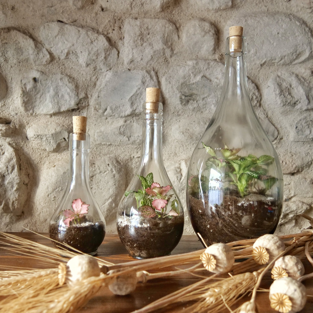 Terrarium Fiasco 2 litri