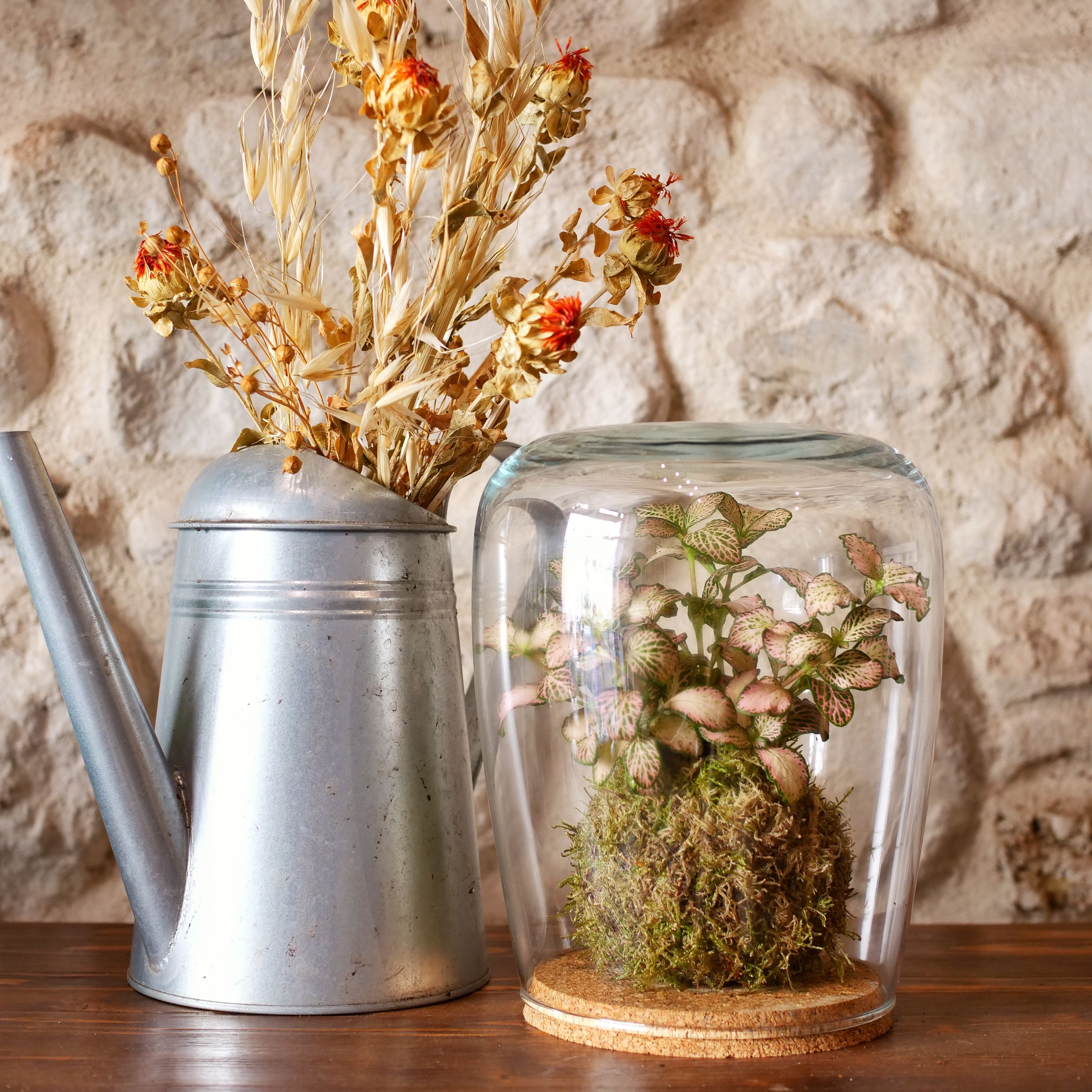 Il Giardino di Vetro