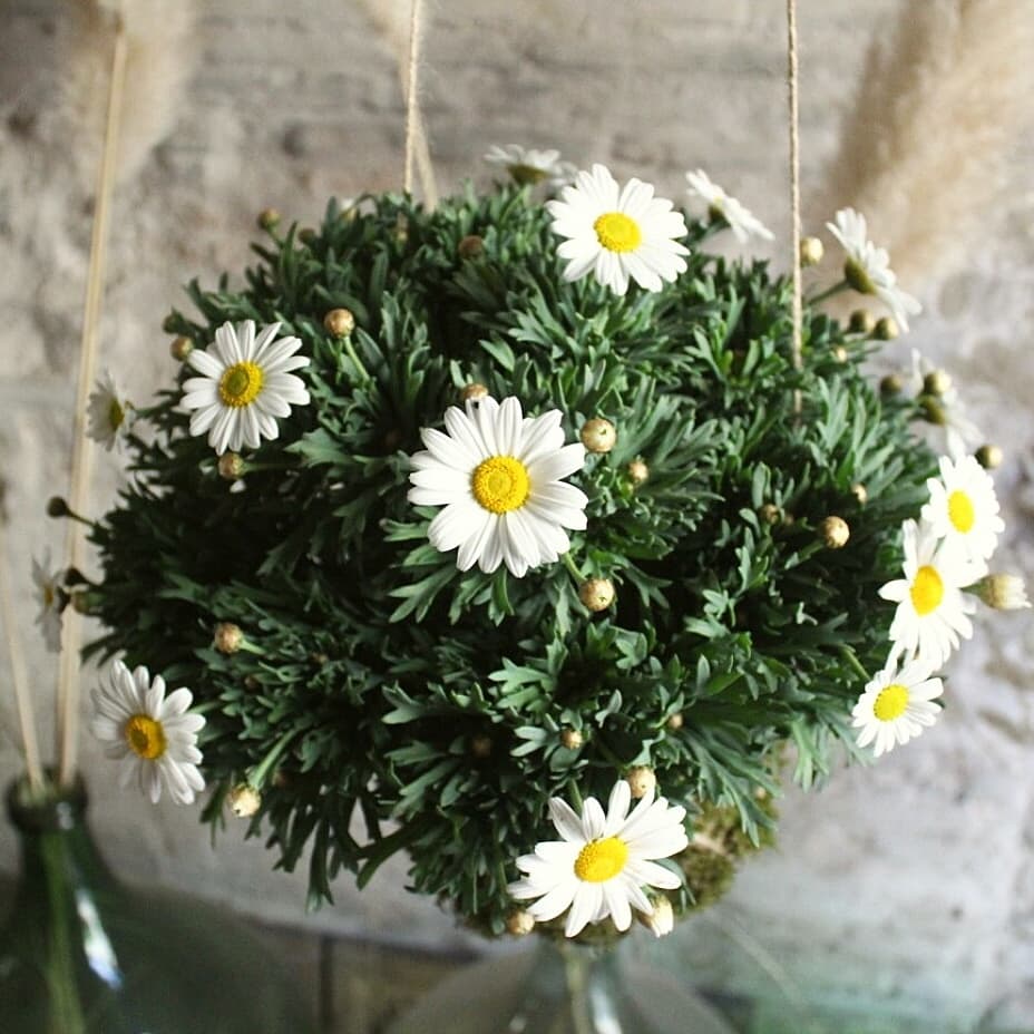 Il Giardino di Vetro