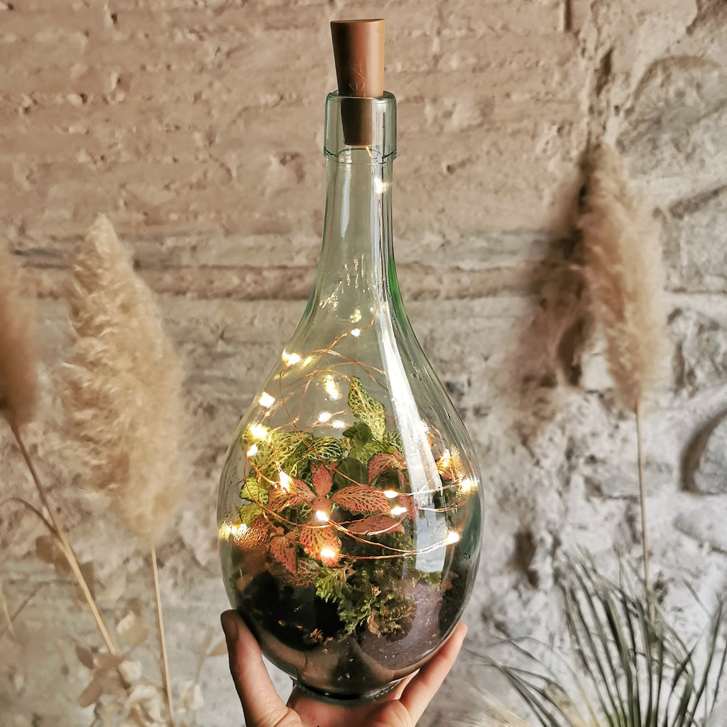 Terrarium Fiasco 2 litri