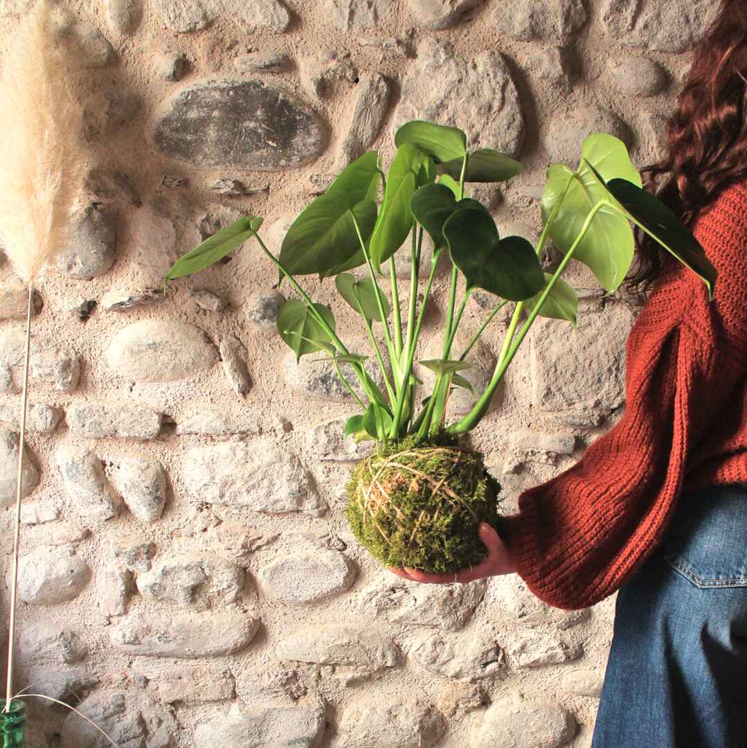 Il Giardino di Vetro
