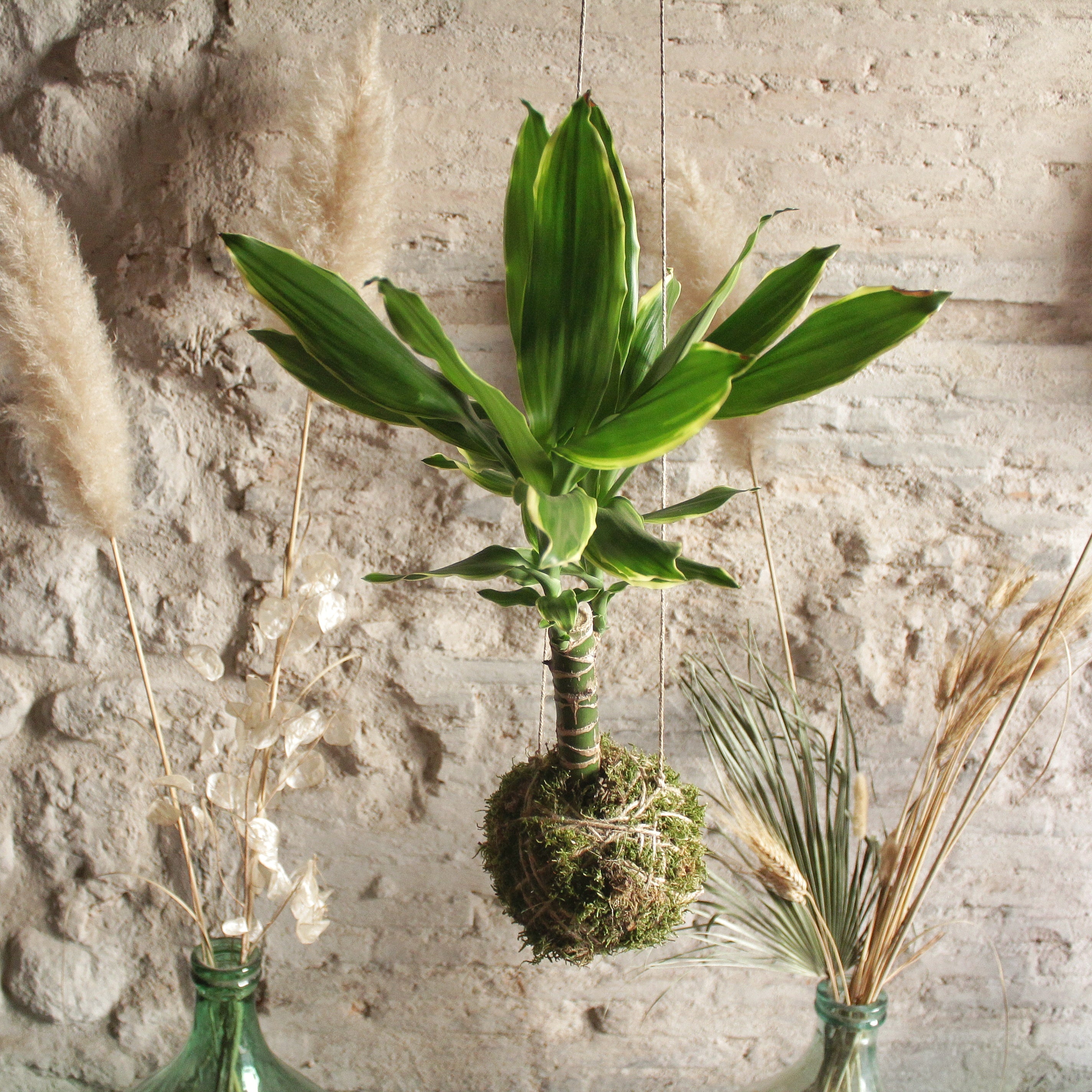 Il Giardino di Vetro