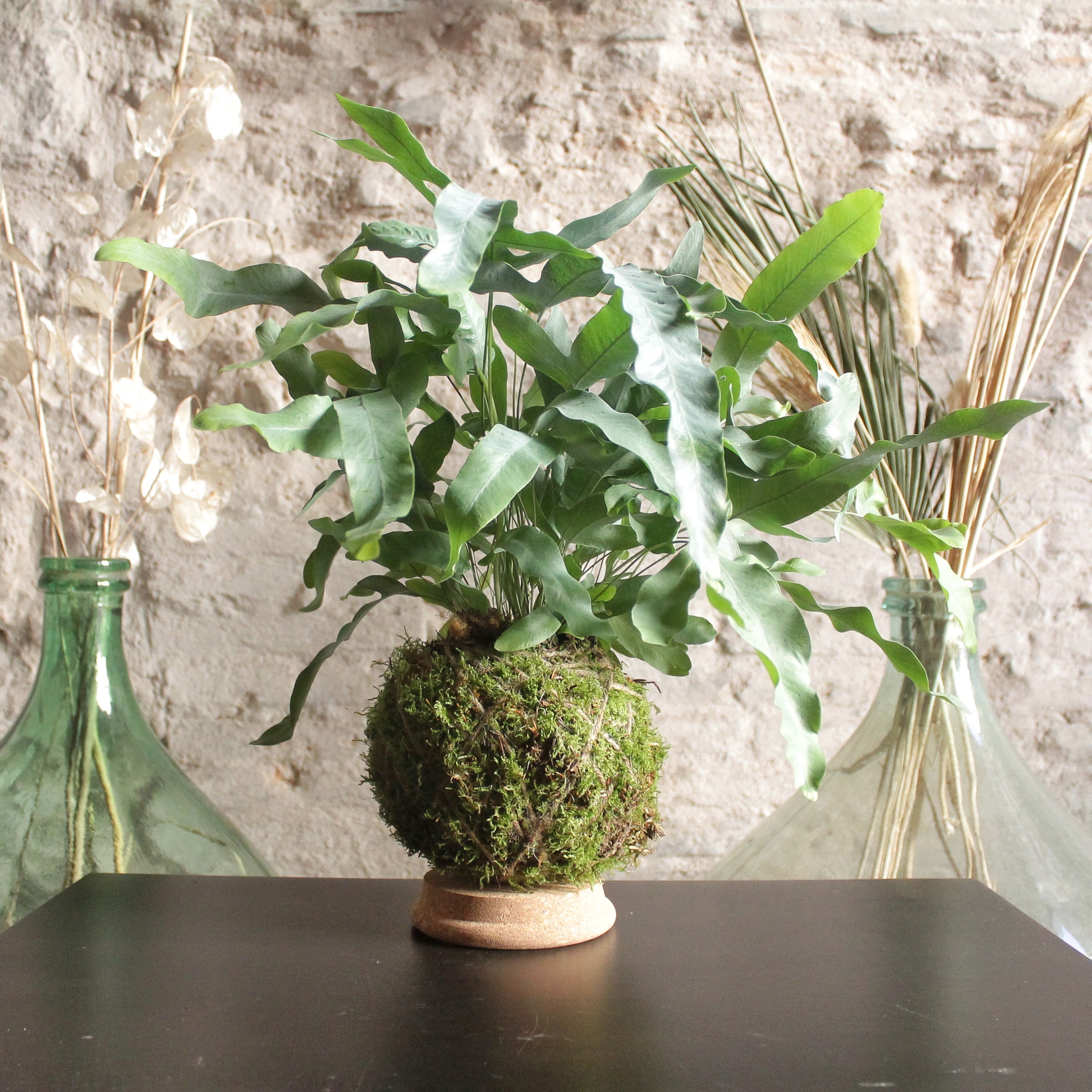 Il Giardino di Vetro