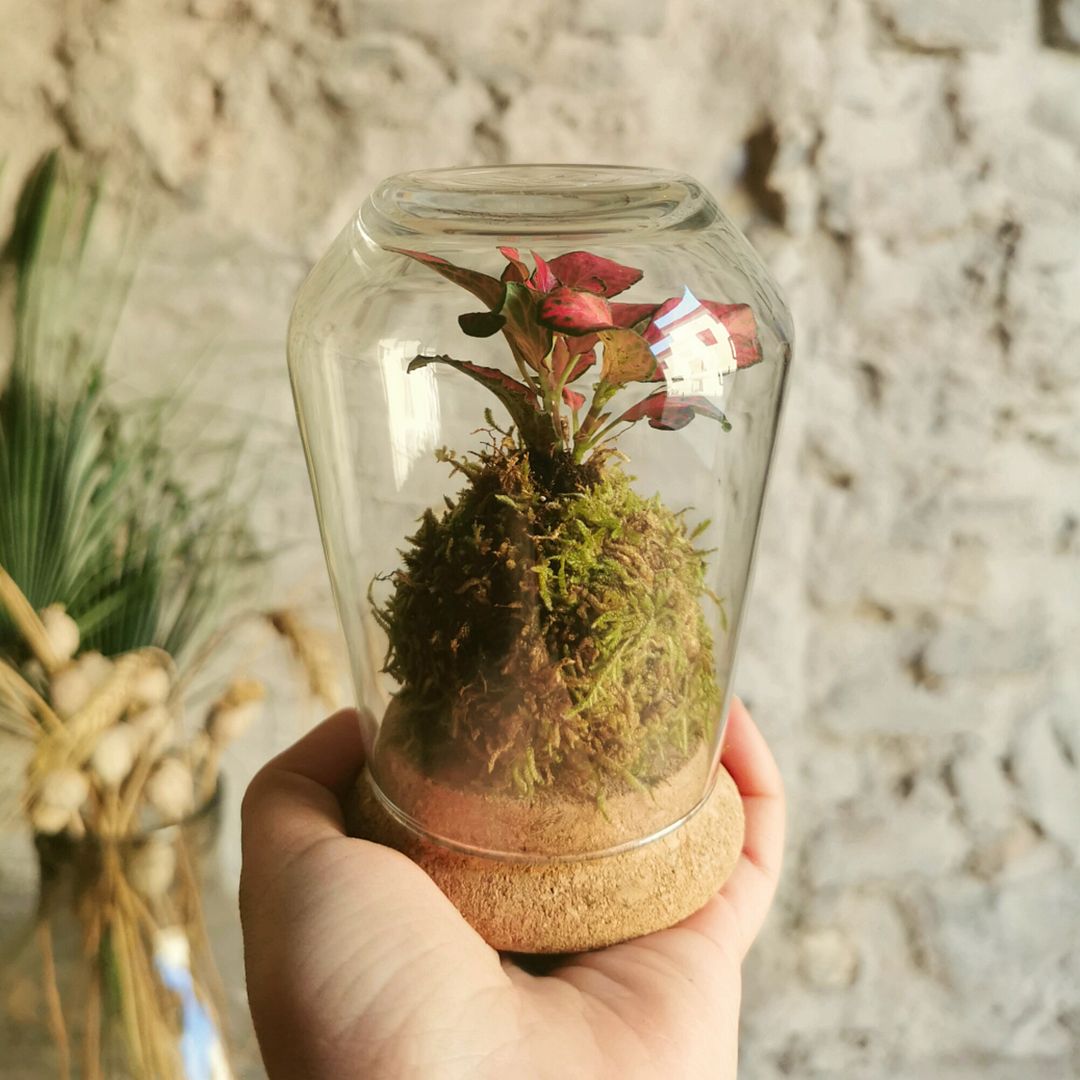 Il Giardino di Vetro