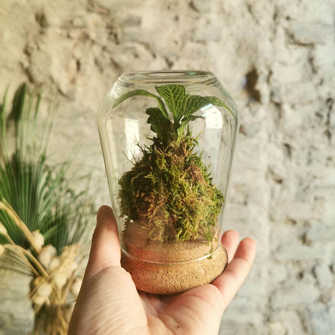 Il Giardino di Vetro