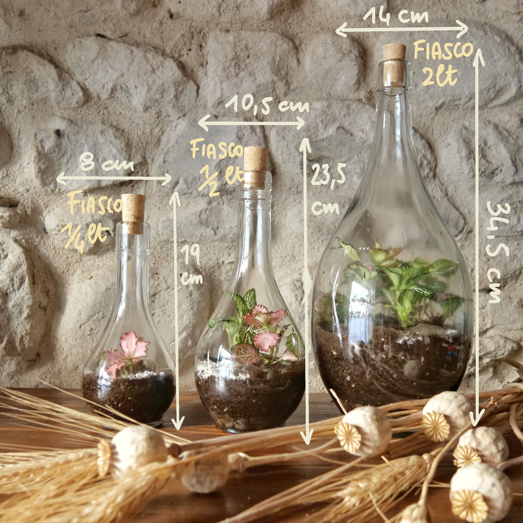 Terrarium Fiasco 2 litri