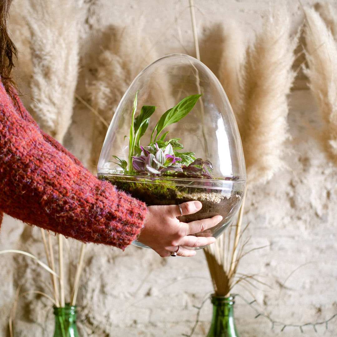 Il Giardino di Vetro