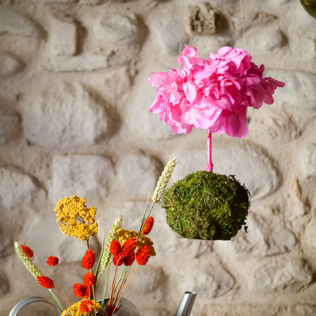 Il Giardino di Vetro