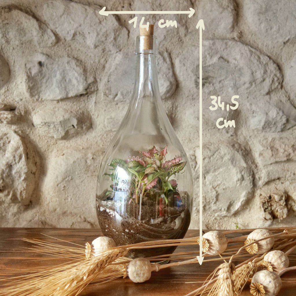 Terrarium Fiasco 2 litri