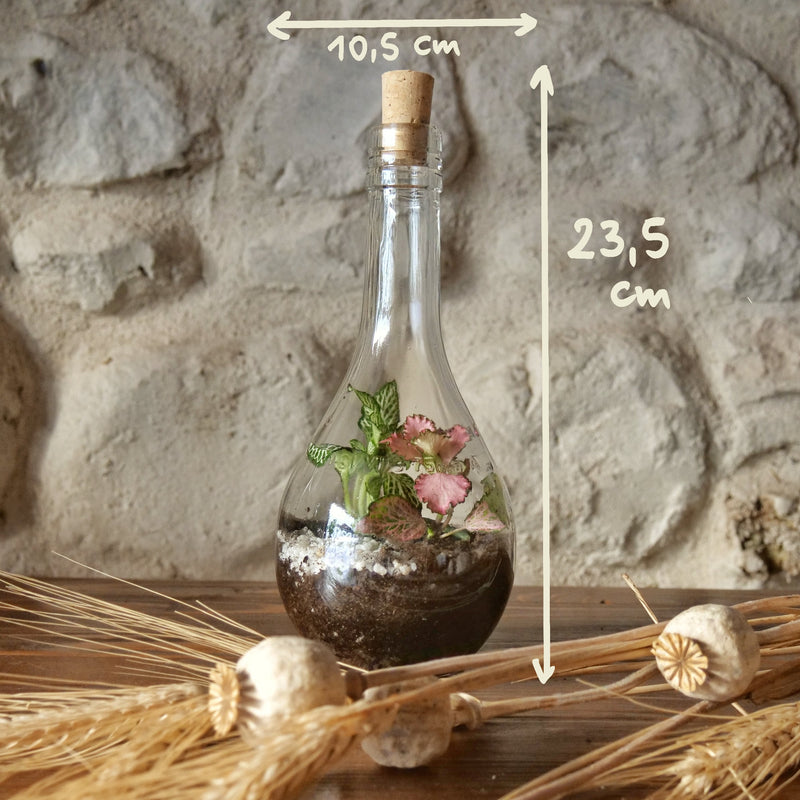 Terrarium Fiasco 1/2 litro