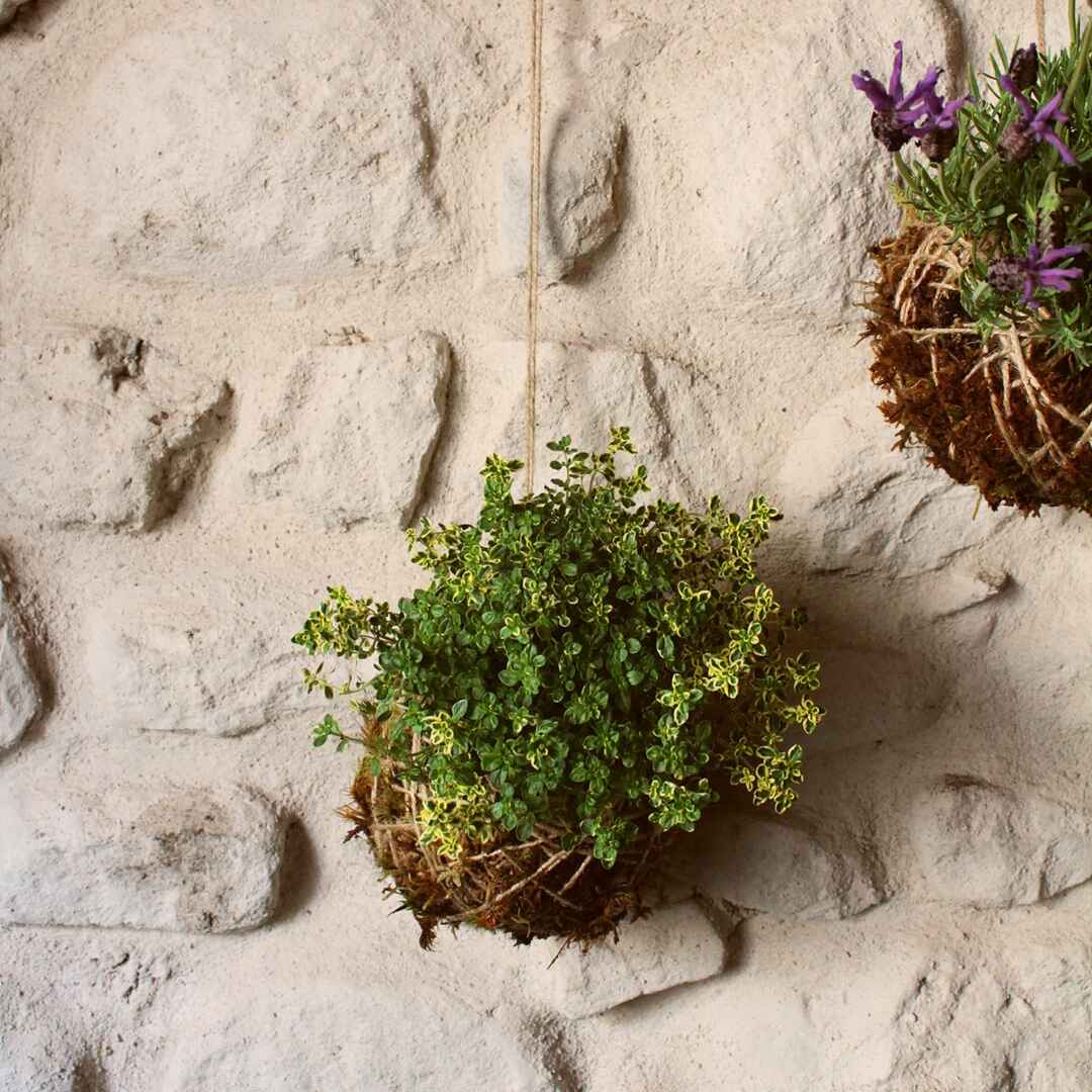Il Giardino di Vetro