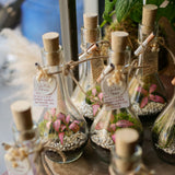 Terrarium bomboniera Fiasco 1/4 lt