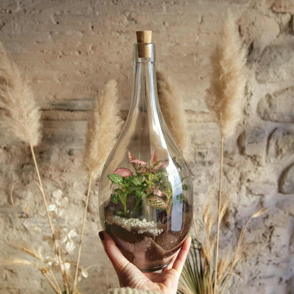 Terrarium Fiasco 2 litri – Il Giardino di Vetro